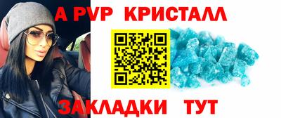 стафф Будённовск