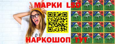 стафф Будённовск