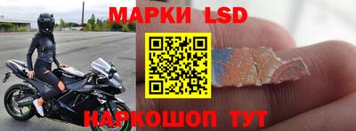 стафф Будённовск