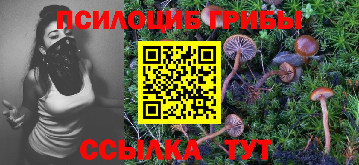 Раменское  Псилоцибиновые грибы GOLDEN TEACHER  Вход с VPN 